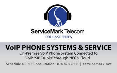 On-Premise VoIP Phone System Connected to VoIP “SIP Trunks” through NEC’s Cloud EXPLAINED